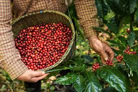 How The Lawman Rub Co Is Adapting to rising cost of coffee
