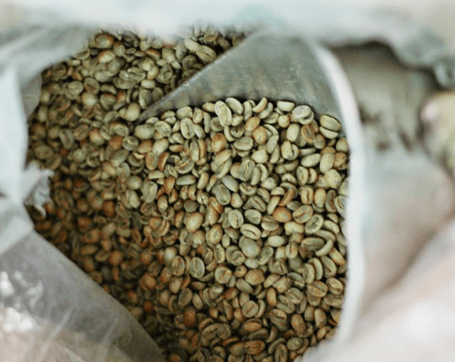 The Truth About Mold and Yeast in Coffee: What You Need to Know